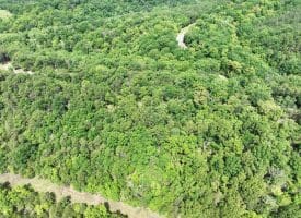 2.23 Ac Doe Trl, Springfield, WV 26763
