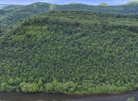 Lot 1 Island Ridge Rd, Purgitsville, WV 26852