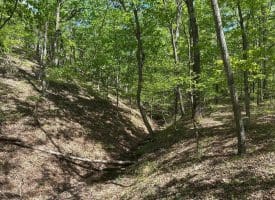 13.06 Ac Pine Trail Dr, Moorefield, WV 26836