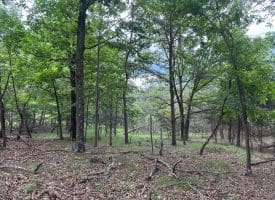 Lot 154 Rm Washington Dr, Springfield, WV 26763