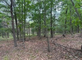 Lot 154 Rm Washington Dr, Springfield, WV 26763