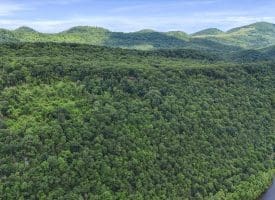 Lot 1 Island Ridge Rd, Purgitsville, WV 26852