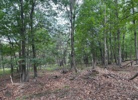 Lot 154 Rm Washington Dr, Springfield, WV 26763