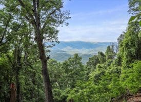 Lot 1 Island Ridge Rd, Purgitsville, WV 26852