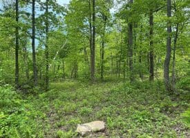 389.2 Acres Woodmont Rd, Great Cacapon, WV 25422