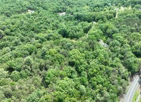 2.23 Ac Doe Trl, Springfield, WV 26763
