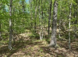 13.06 Ac Pine Trail Dr, Moorefield, WV 26836