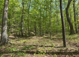 13.06 Ac Pine Trail Dr, Moorefield, WV 26836