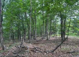 Lot 154 Rm Washington Dr, Springfield, WV 26763