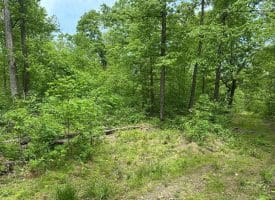 389.2 Acres Woodmont Rd, Great Cacapon, WV 25422