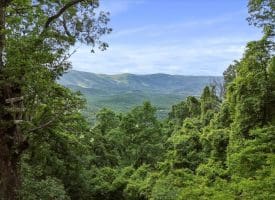 Lot 1 Island Ridge Rd, Purgitsville, WV 26852