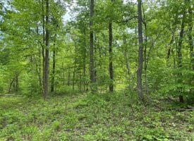 389.2 Acres Woodmont Rd, Great Cacapon, WV 25422