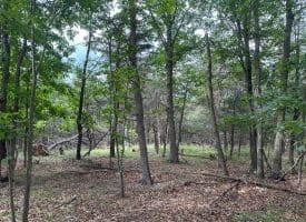 Lot 154 Rm Washington Dr, Springfield, WV 26763