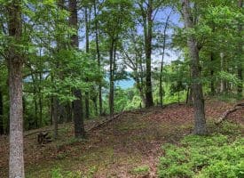 Lot 1 Island Ridge Rd, Purgitsville, WV 26852