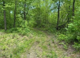 389.2 Acres Woodmont Rd, Great Cacapon, WV 25422
