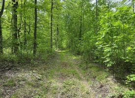 389.2 Acres Woodmont Rd, Great Cacapon, WV 25422