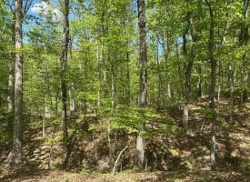 13.06 Ac Pine Trail Dr, Moorefield, WV 26836