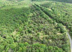 Lot 154 Rm Washington Dr, Springfield, WV 26763