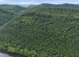 Lot 1 Island Ridge Rd, Purgitsville, WV 26852