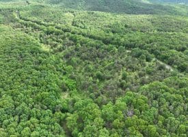 Lot 154 Rm Washington Dr, Springfield, WV 26763
