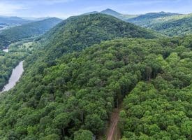 Lot 1 Island Ridge Rd, Purgitsville, WV 26852