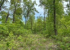 389.2 Acres Woodmont Rd, Great Cacapon, WV 25422