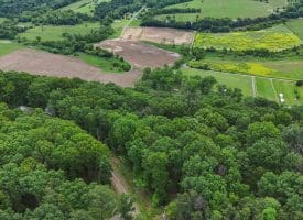 Lot 1 Island Ridge Rd, Purgitsville, WV 26852
