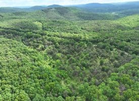 Lot 154 Rm Washington Dr, Springfield, WV 26763
