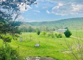 11485 Delray Rd, Rio, WV 26755