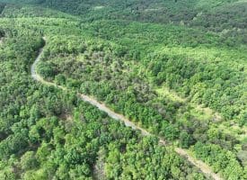 Lot 154 Rm Washington Dr, Springfield, WV 26763