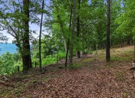 Lot 1 Island Ridge Rd, Purgitsville, WV 26852