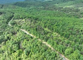 Lot 154 Rm Washington Dr, Springfield, WV 26763