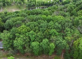 Lot 1 Island Ridge Rd, Purgitsville, WV 26852