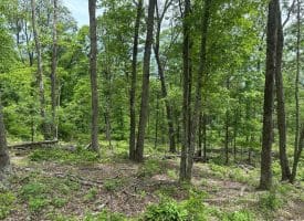 389.2 Acres Woodmont Rd, Great Cacapon, WV 25422