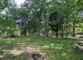 Lot 154 Rm Washington Dr, Springfield, WV 26763