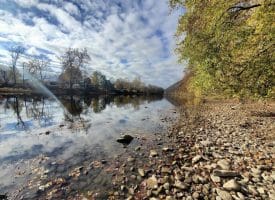 Lot 1 Island Ridge Rd, Purgitsville, WV 26852