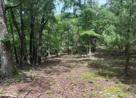 2.23 Ac Doe Trl, Springfield, WV 26763