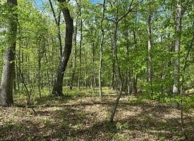 13.06 Ac Pine Trail Dr, Moorefield, WV 26836