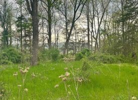 11485 Delray Rd, Rio, WV 26755