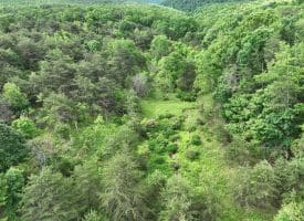 Lot 154 Rm Washington Dr, Springfield, WV 26763