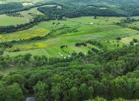 Lot 1 Island Ridge Rd, Purgitsville, WV 26852