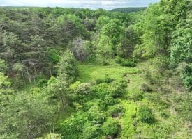 Lot 154 Rm Washington Dr, Springfield, WV 26763