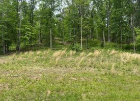 389.2 Acres Woodmont Rd, Great Cacapon, WV 25422