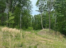 389.2 Acres Woodmont Rd, Great Cacapon, WV 25422