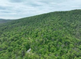 389.2 Acres Woodmont Rd, Great Cacapon, WV 25422