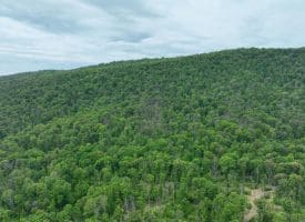 389.2 Acres Woodmont Rd, Great Cacapon, WV 25422