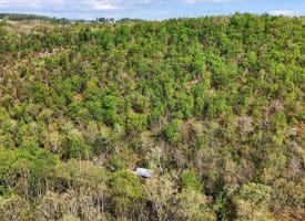 490 Janesa Dr, Augusta, WV 26704