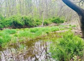 11485 Delray Rd, Rio, WV 26755