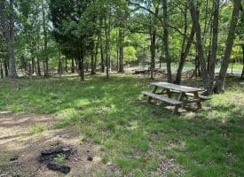Lot 154 Rm Washington Dr, Springfield, WV 26763