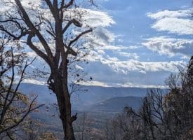 Lot 1 Island Ridge Rd, Purgitsville, WV 26852